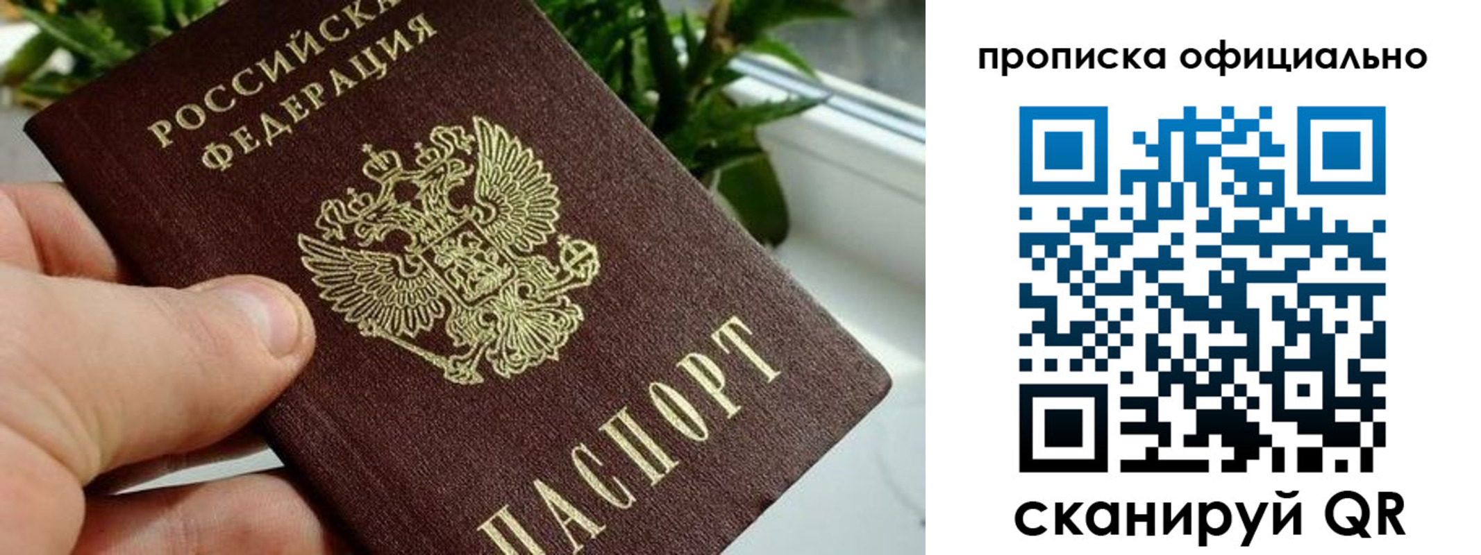 прописка поиск в Реутове